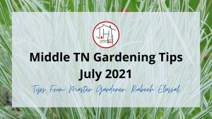 Middle TN Gardening Tips | July 2021